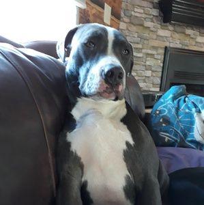 Meet your Posher, Jan